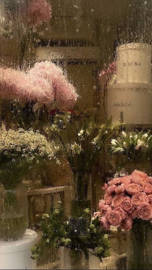 از سمت شمال خبری نیست