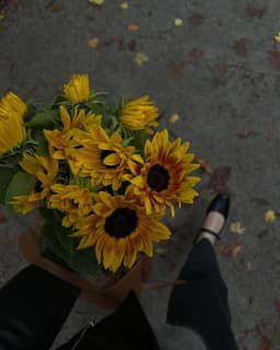 مبینا سیف آبادی