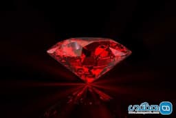 آلیسا