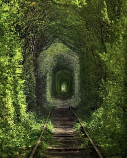 سبز 🍀