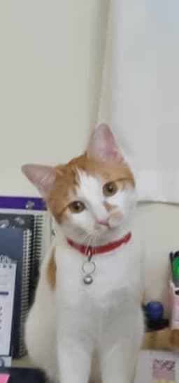 من