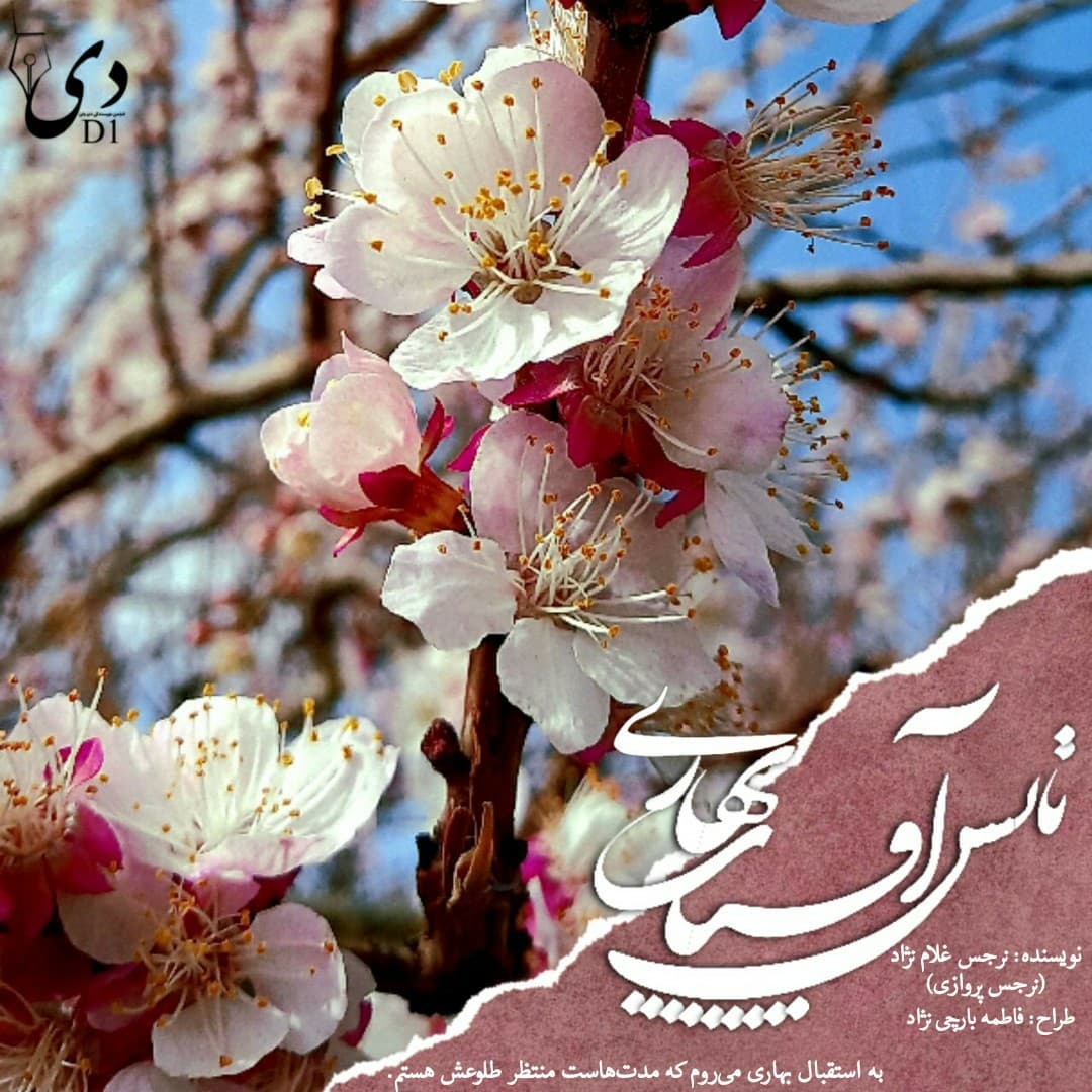 تابش آفتاب بهاری